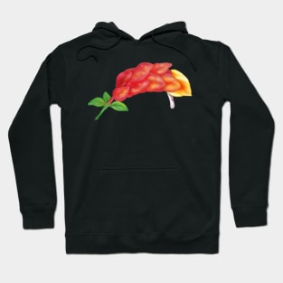 Pink Shrimp Plant Flower Digital Art Hoodie